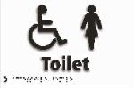 Disabled Ladies Toilet B/W