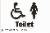 Disabled Ladies Toilet Braille / Tactile