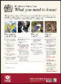 HSE Health And Safety Law Poster